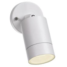 Zdenek Outdoor Wall Spotlight